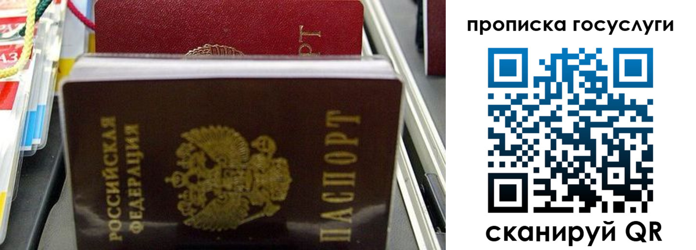 где прописаться в Шали